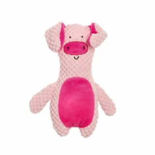 PiggeySoft