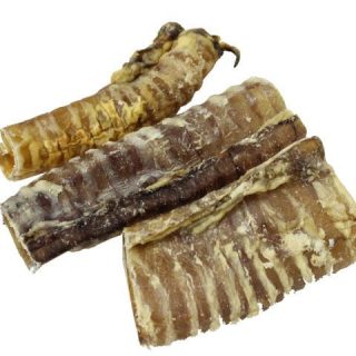Oksestruber